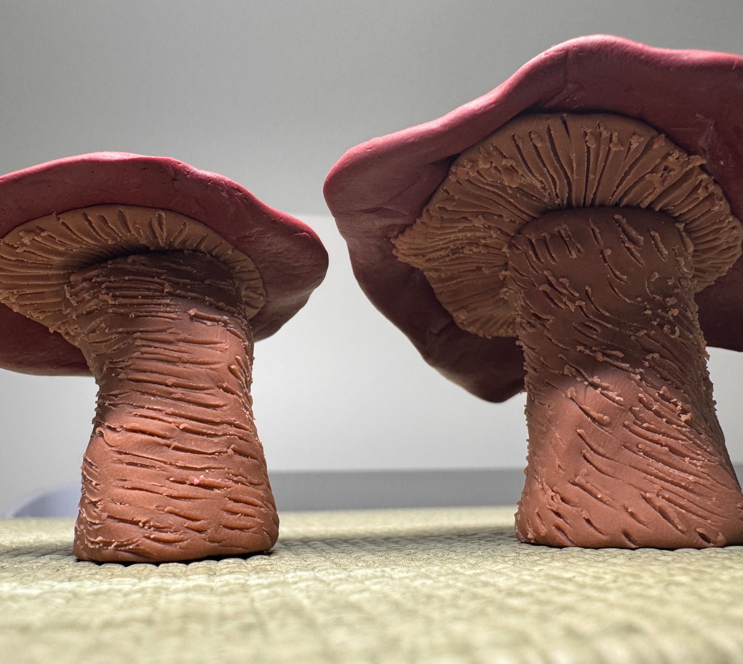 Mushroom Desk Ally