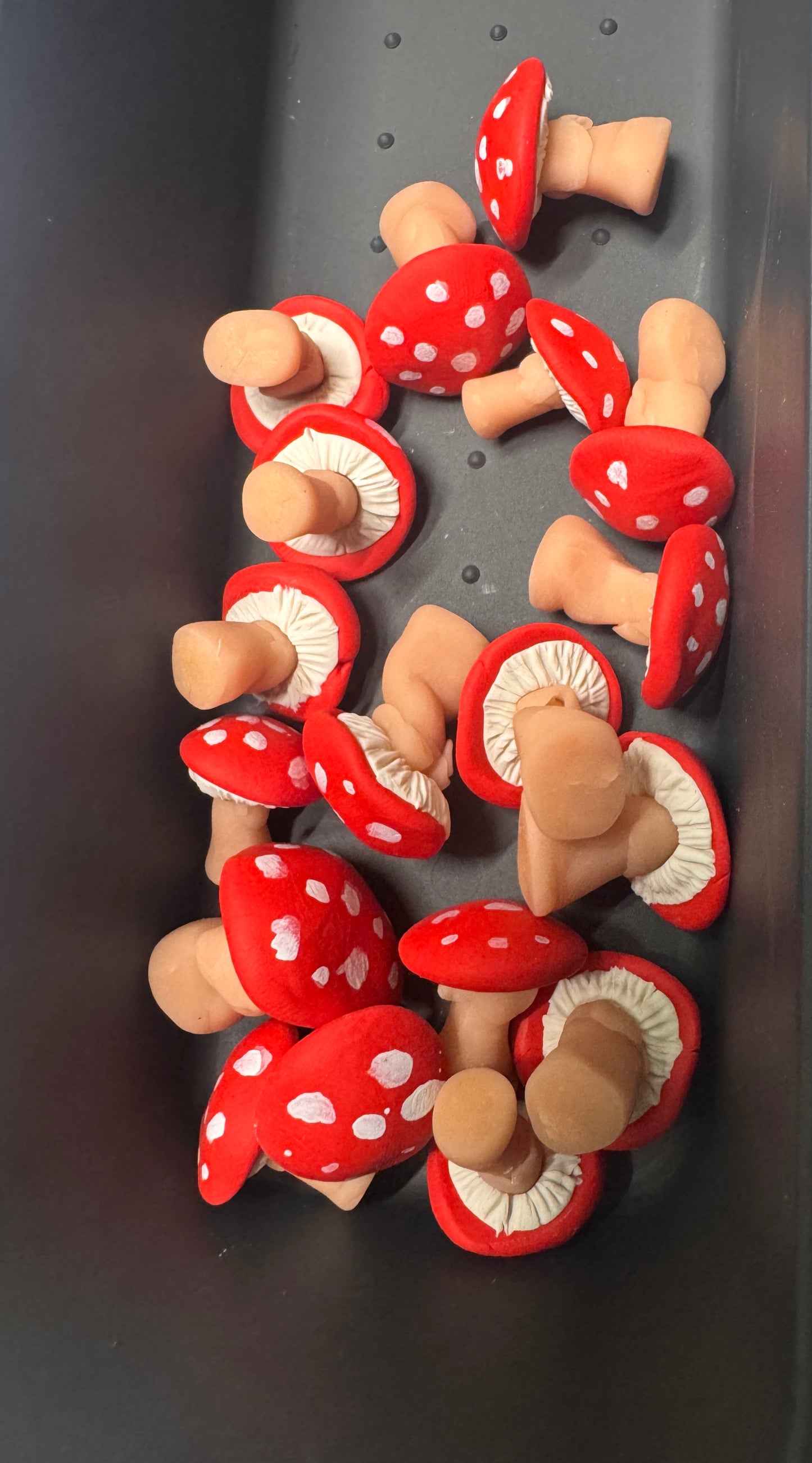 Small Mushroom Magnet in a Jar