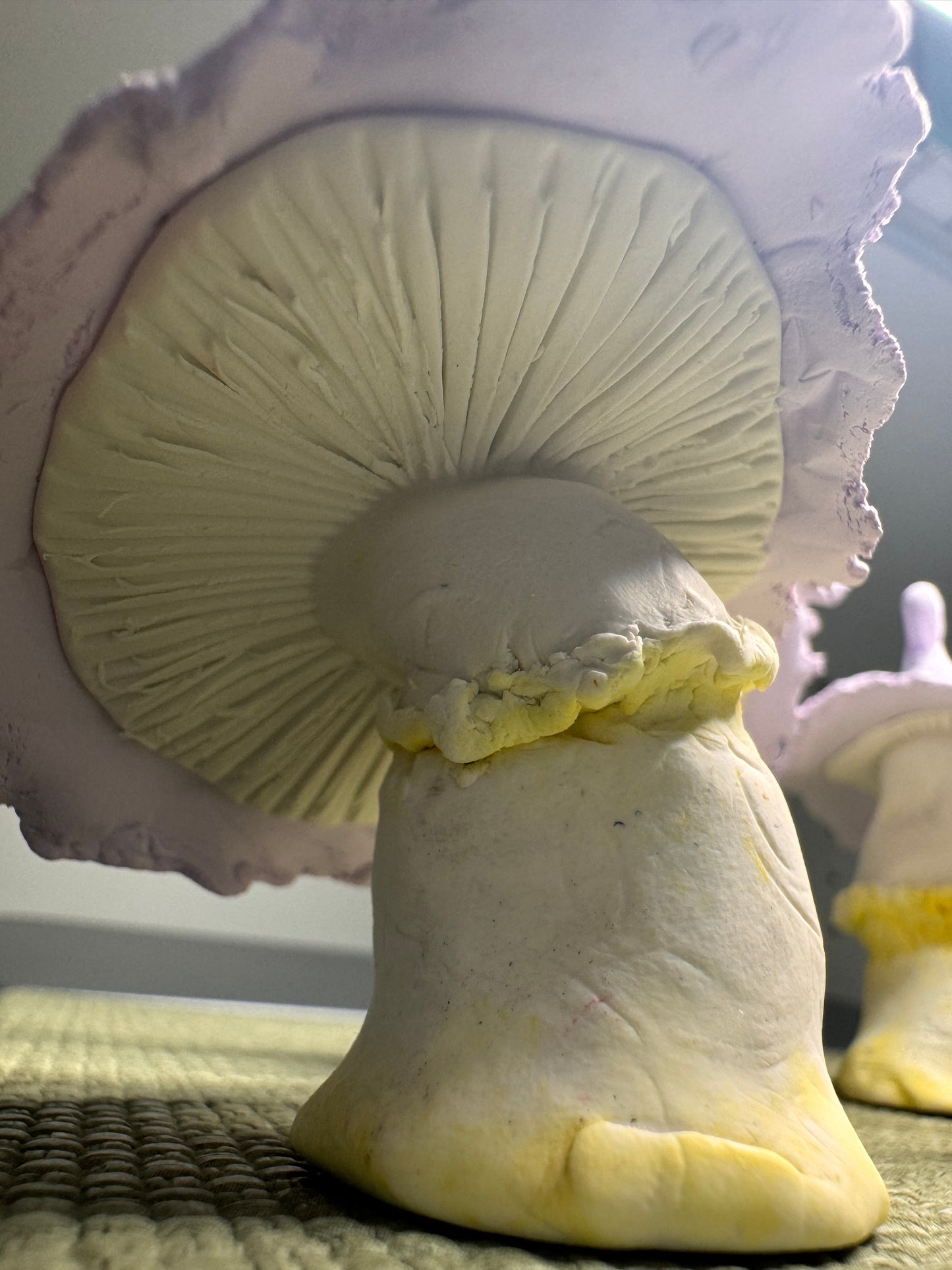Mushroom Desk Ally