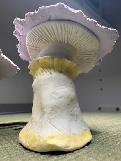 Mushroom Desk Ally