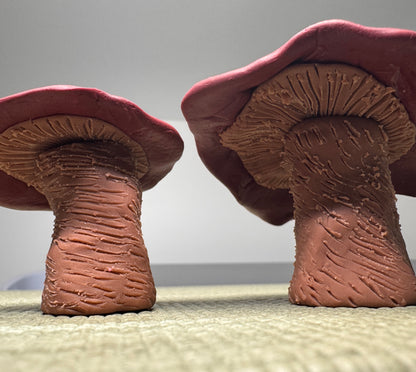 Mushroom Desk Ally